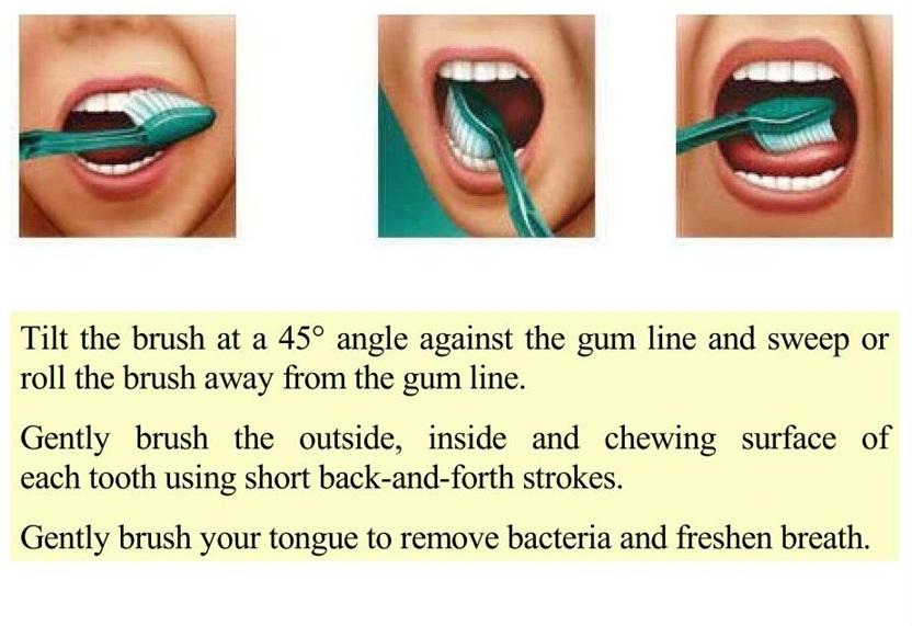 July 2012 BONGO CORNER