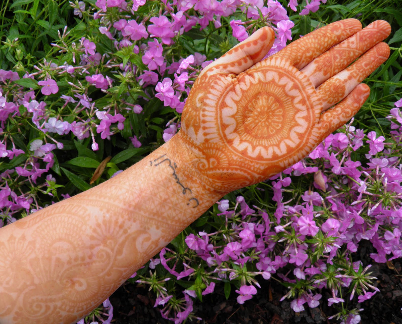 Volcano Henna Tattoo Lexington, KY Volcano Henna