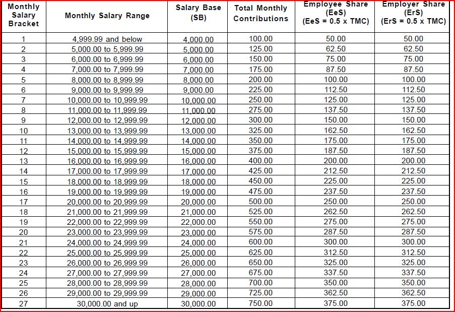 BIR Tax Information, Business Solutions and Professional System