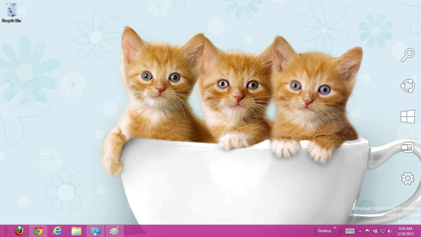 Cute cat themes for windows 7