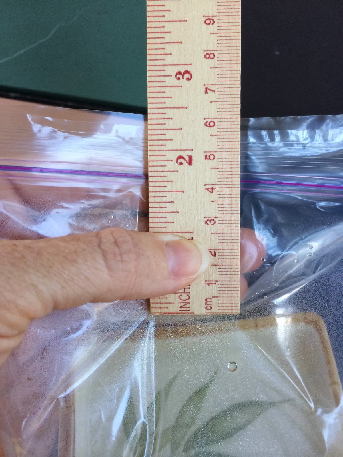 Spasms of Plastic Permeability Experiment the iScience Way