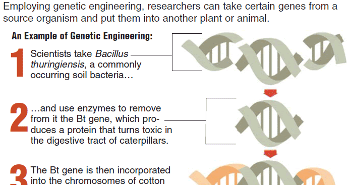 how are genes modified to make gmos