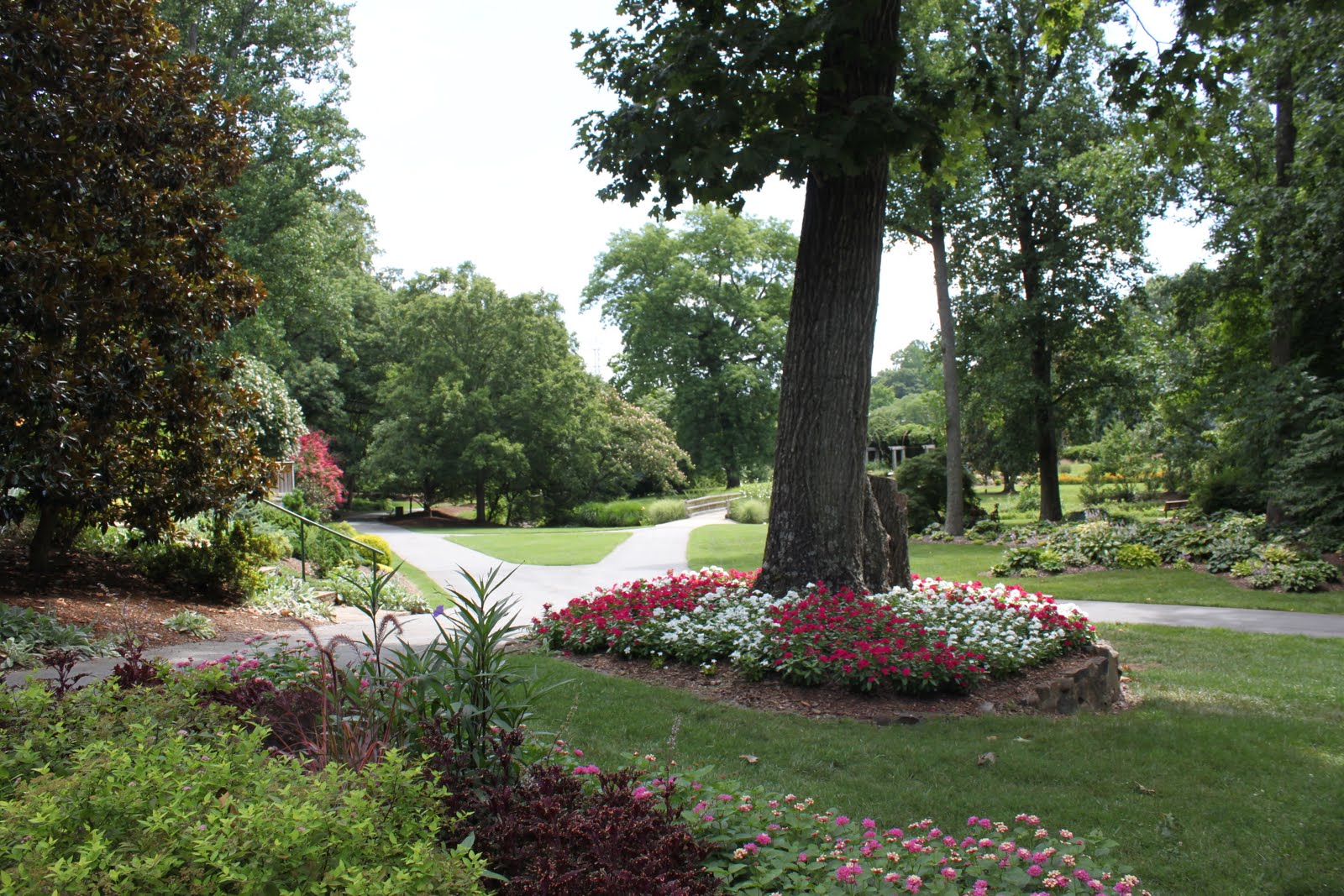 I'm Bloggin' Greensboro Arboretum