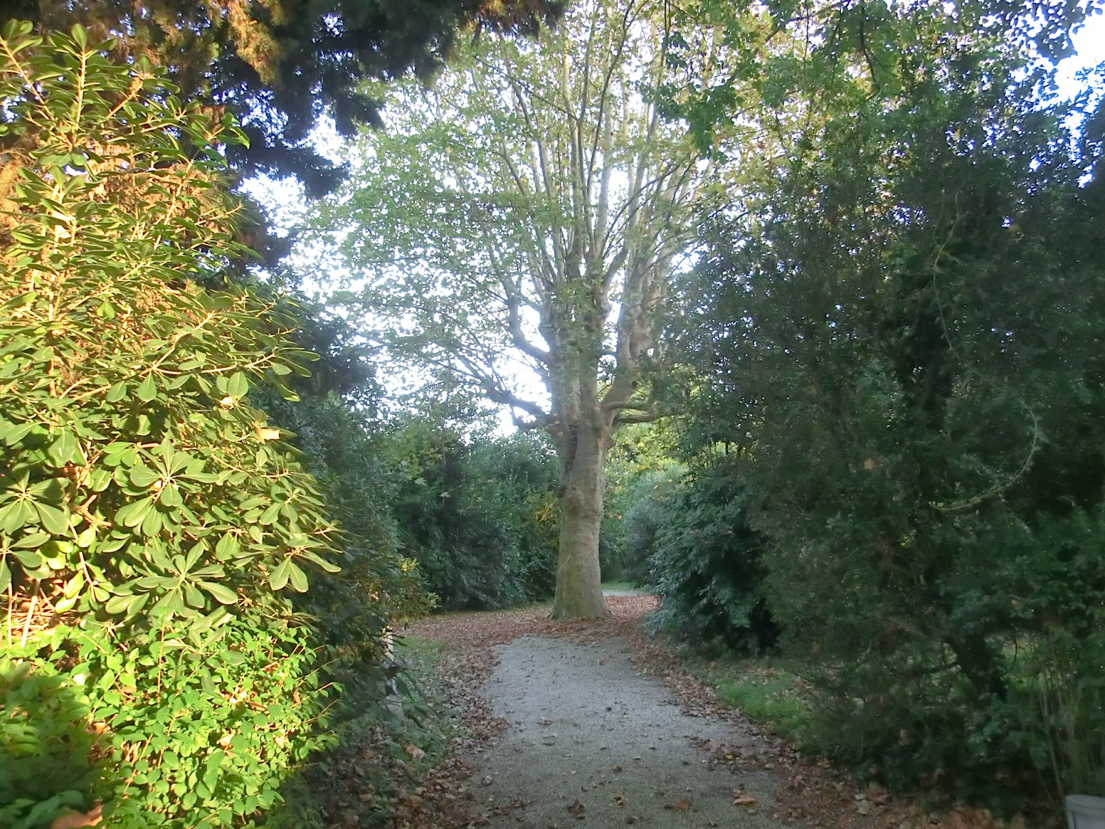 Dreischichtplatte Altholz Spachtelmasse Aussenbereich