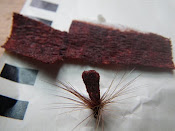 VW Sedge