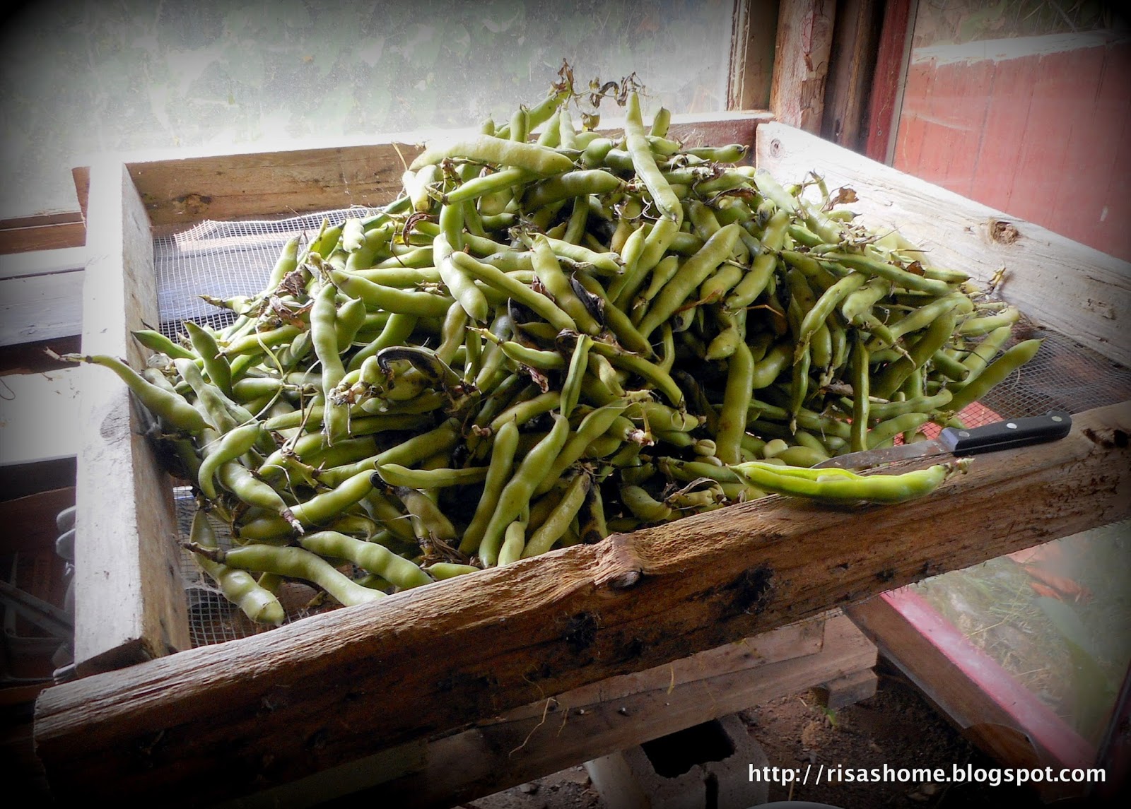 A Way to Live Beans, beans, beans