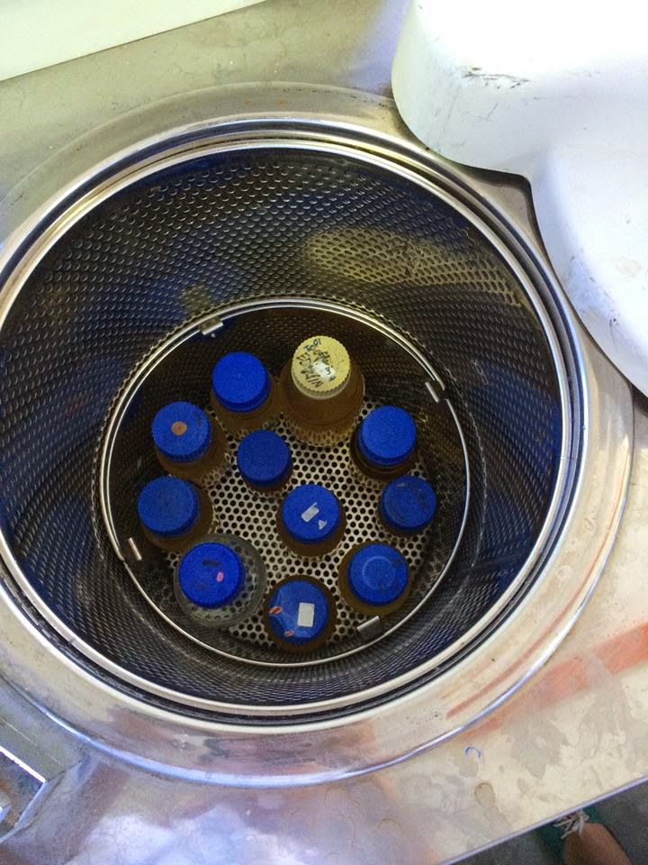 IBG 102 LAB REPORT LAB REPORT 3 Preparation and Sterilization of