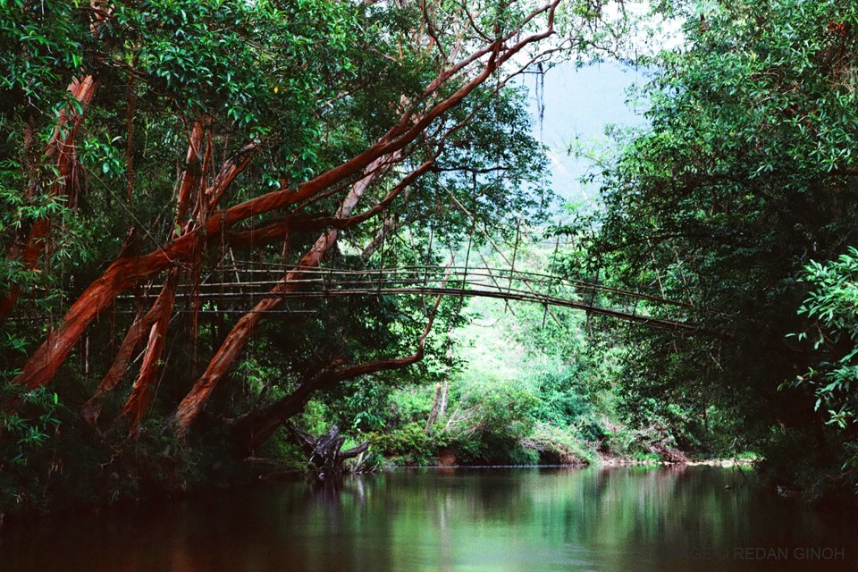 KUCHING's DAILY PHOTO .Life Style,Travel ,Food & Photography Blog. Jungle Tracking or Jungle