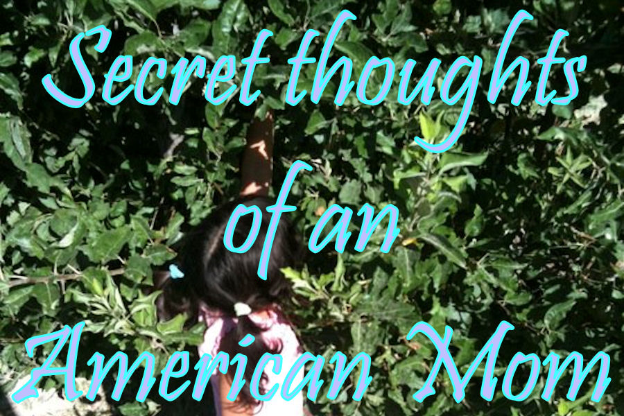 Secret Thoughts of an American Mom