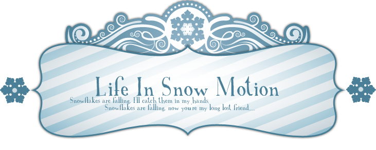 Life In Snow Motion