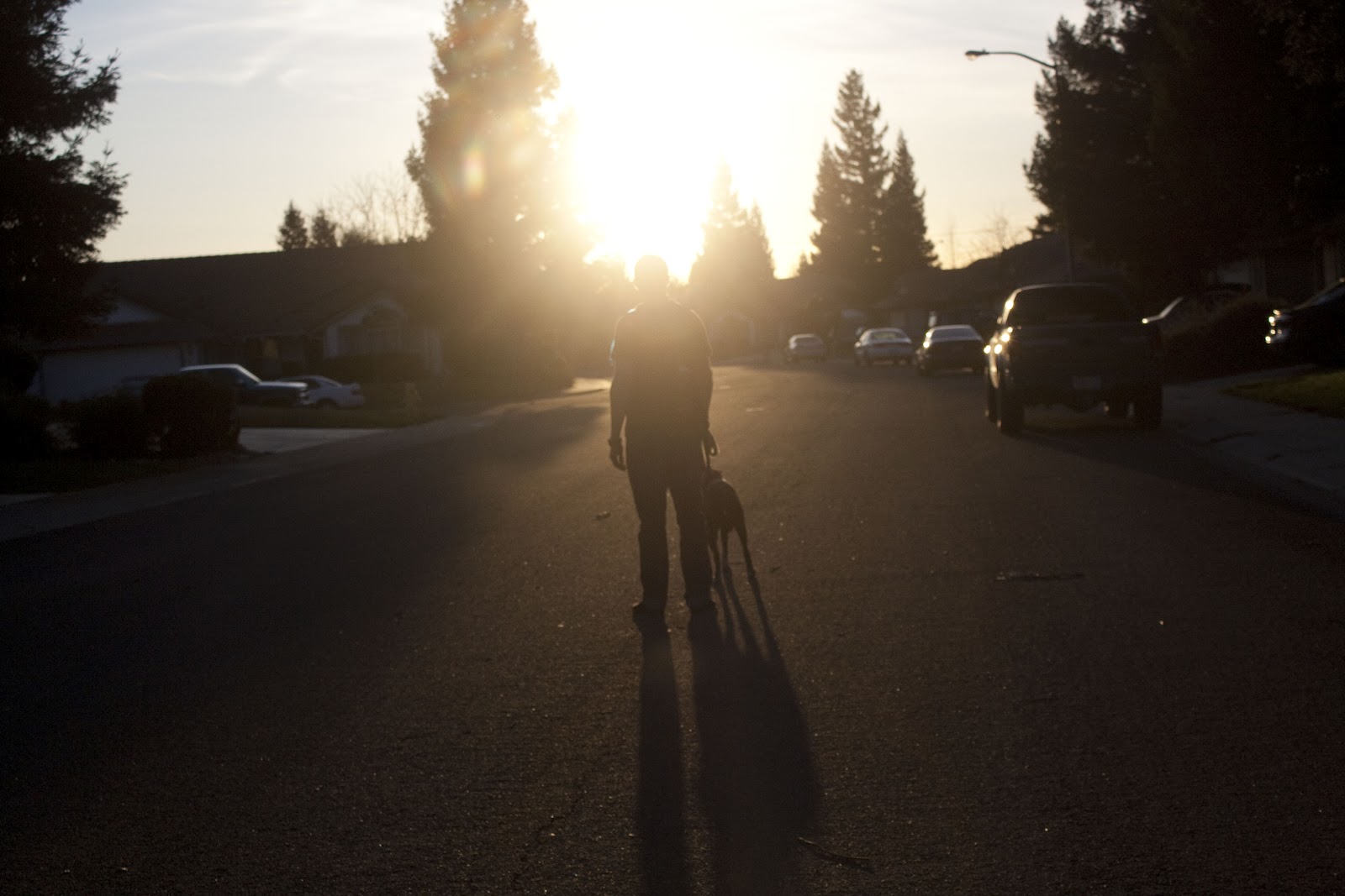 Ciep Photography Lighting Photography