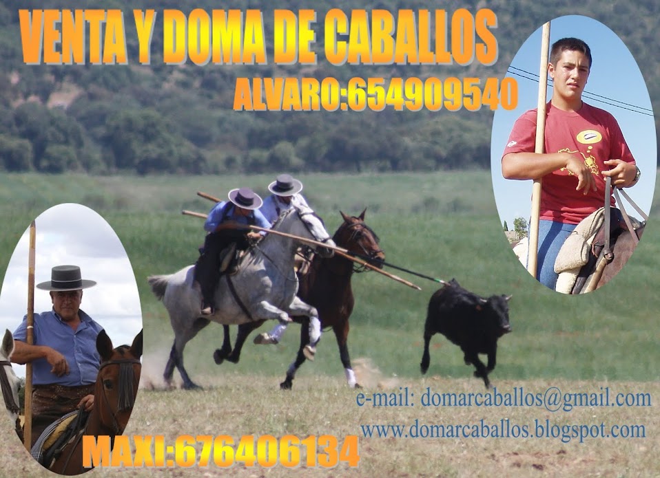 DOMA DE CABALLOS