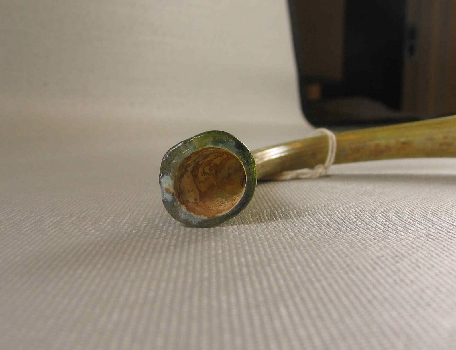 Hearing Shofar 2011/11