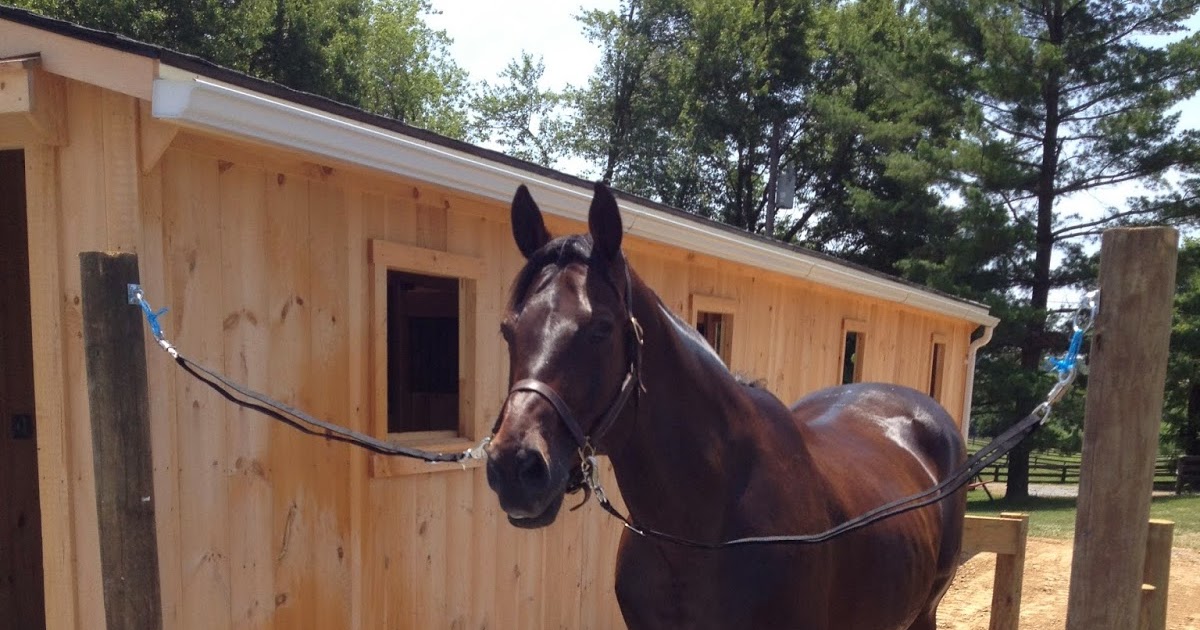 Building & Managing the Small Horse Farm Outdoor Wash Rack Design