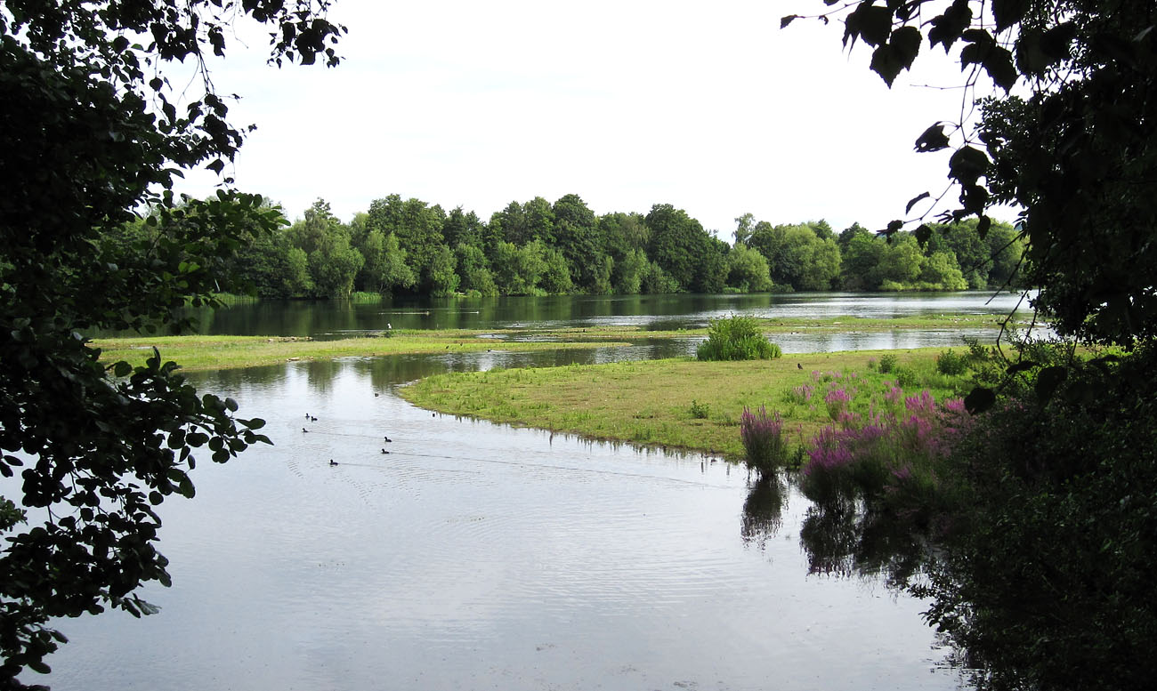 Sevenoaks Wildlife Reserve Naturally