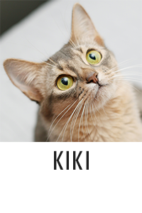 Kiki