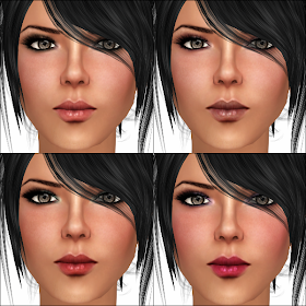 lipstick tattoo layers. lipstick tattoo. lipstick tattoo layers.