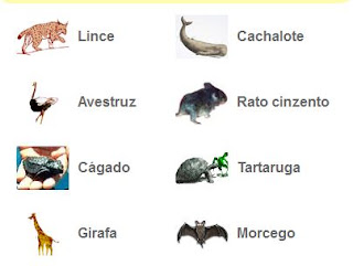 http://www.junior.te.pt/servlets/Rua?P=Animais