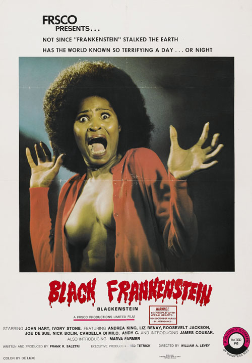 Blaxploitation Movie Posters vintage everyday