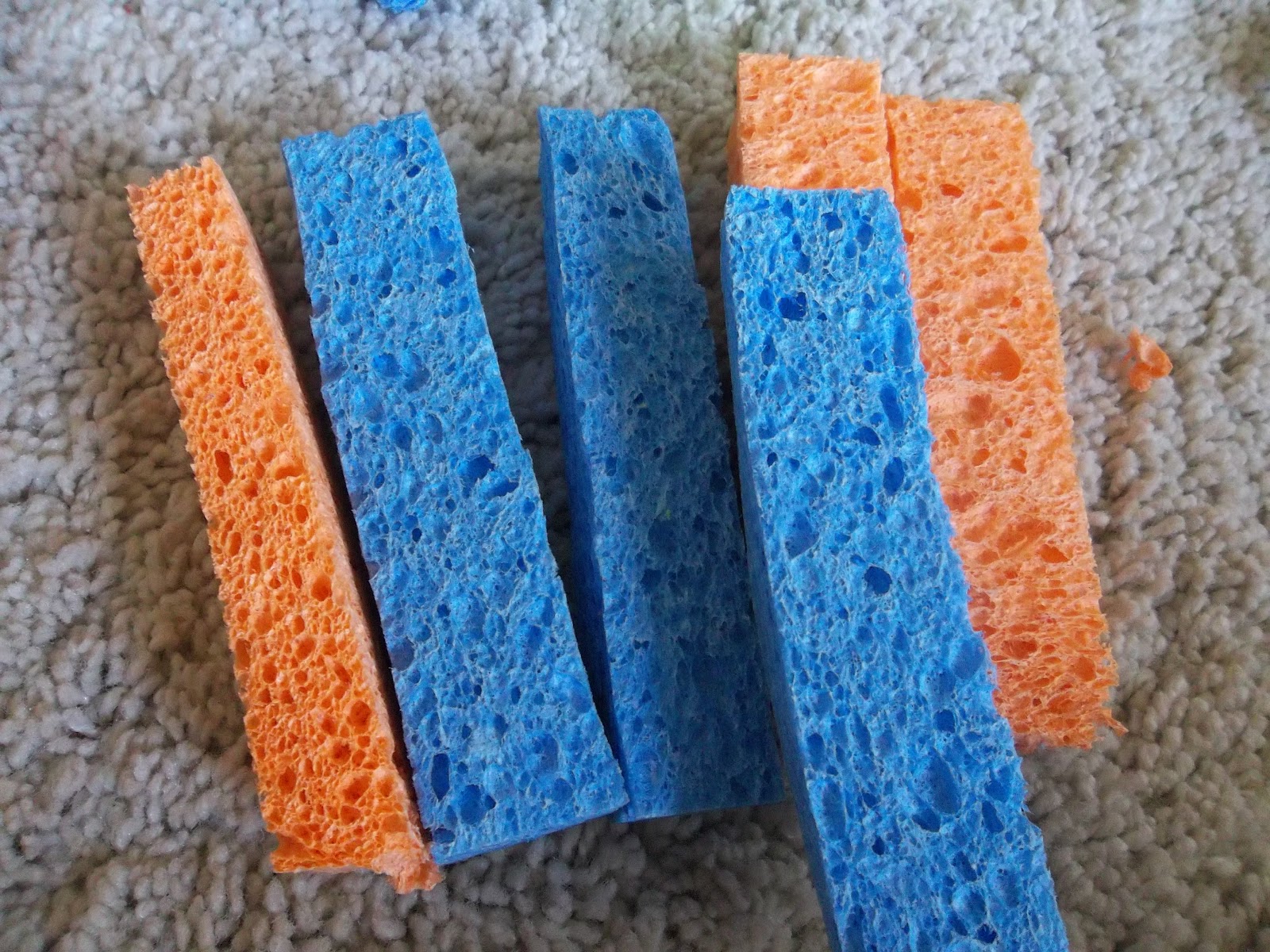 ocello sponges