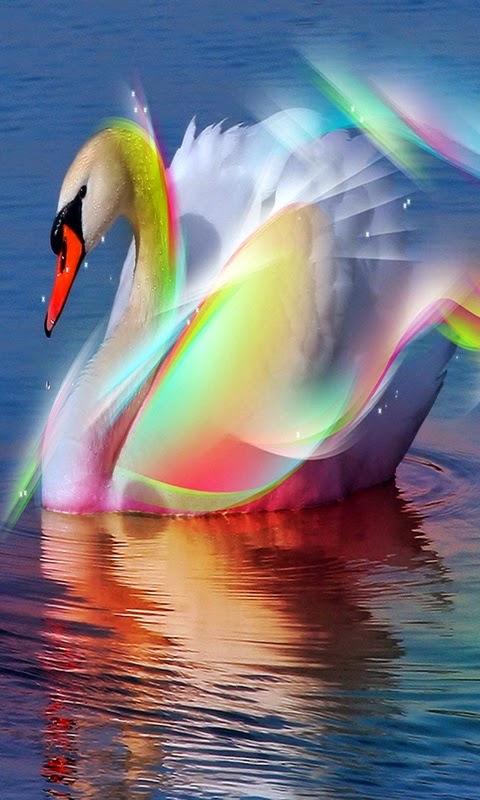 HD 480x800 Animal Mobile Wallpapers V Android Mobile ...