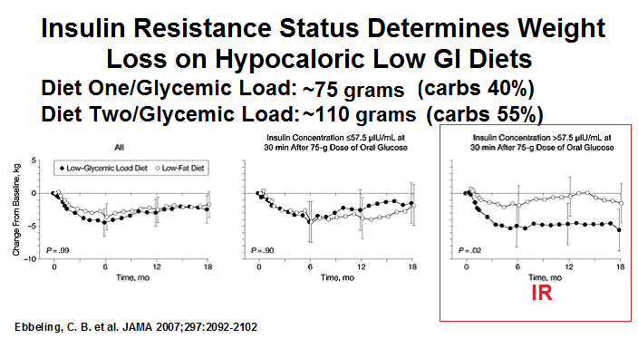 Burning Fat With Ketosis