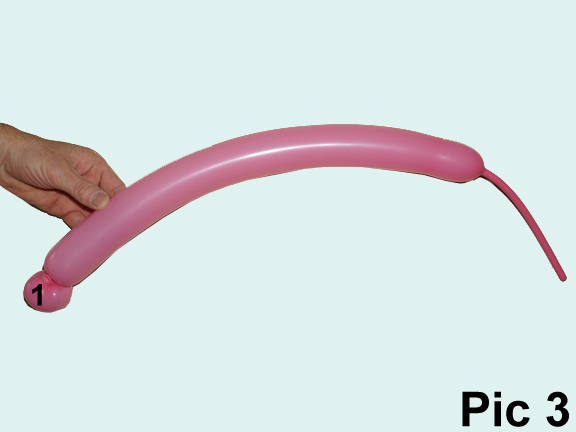 Balloon animals twisting instructions: Balloon flower. How to make one