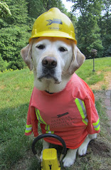 Construction Worker Gus