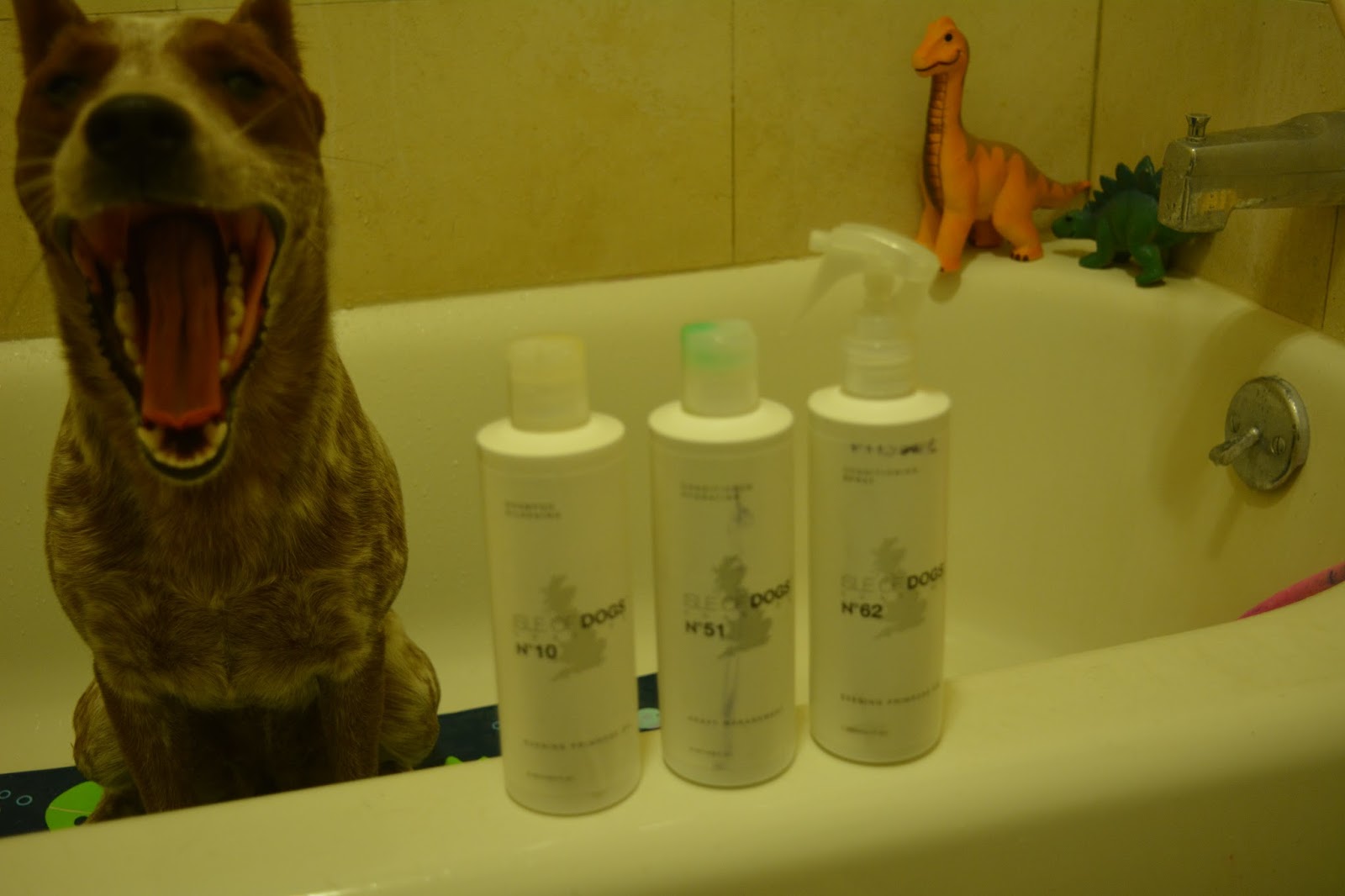 isle of dogs products
