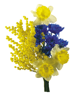 Коллекция картинок: Цветы клипарт PNG, GIF