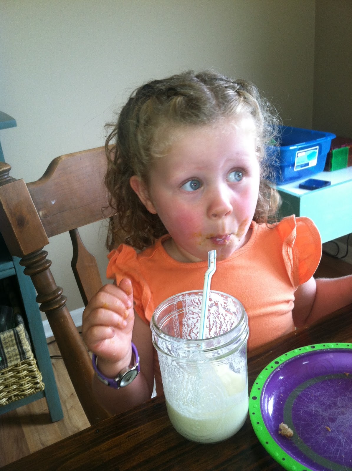 Traditional Foods Making Milk Kefir with a Video (or two …) Quiet In