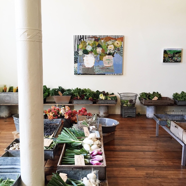 reading my tea leaves out and about mount desert island.