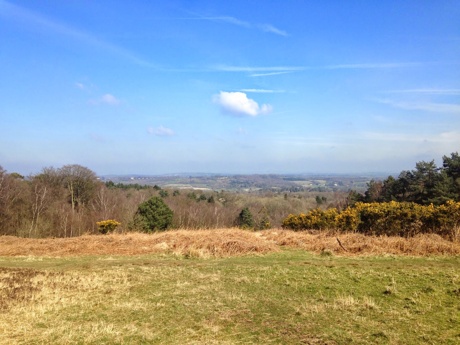 Ashdown Forest