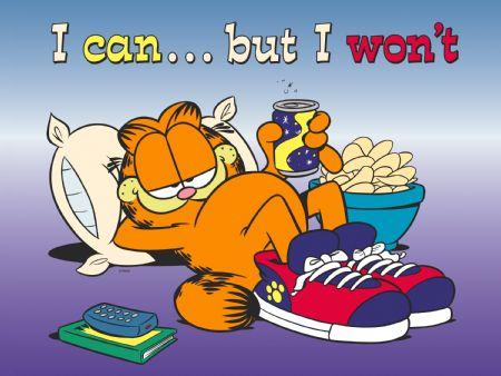 GarfieldLazy.jpg