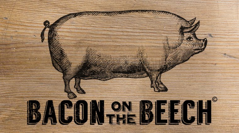 Bacon on the beech