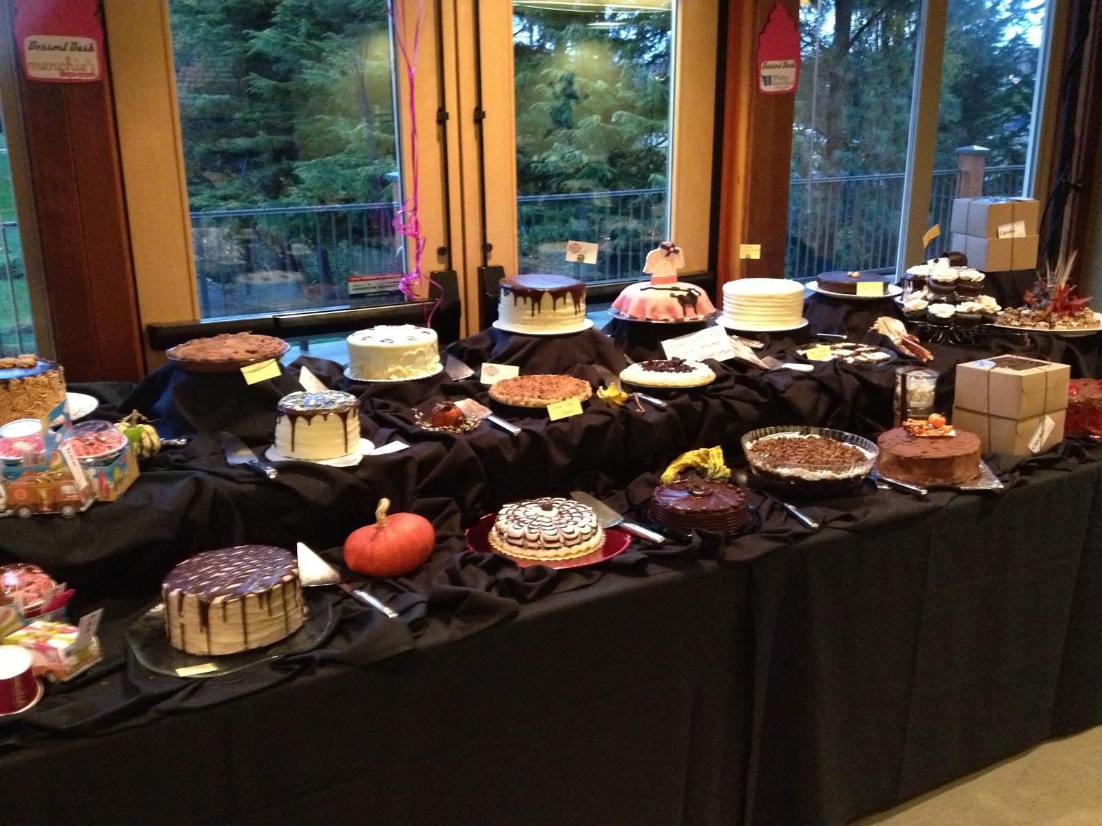 Big Brothers Big Sisters of Northwest Washington Another year, another