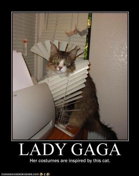 lady-gaga-motivation-quotes-cats-idolized-funny-pinoy-jokes-photos-2012.jpg