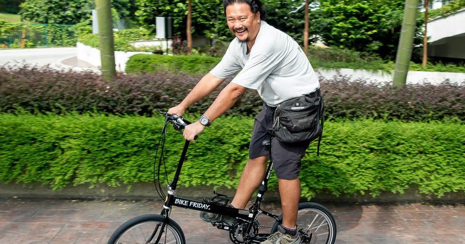 bike friday pocket llama