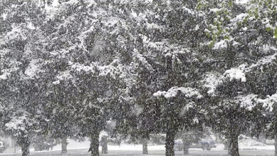 Falling snow Snow animated gif