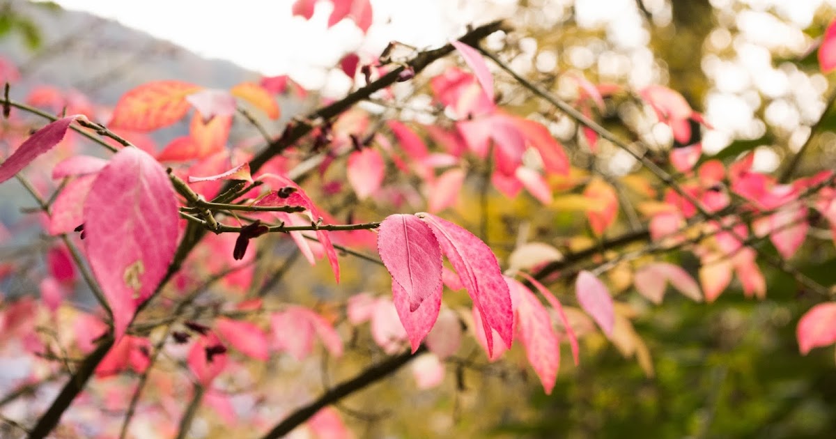 Can T Even Move But I Miss You Most Of All My Darling