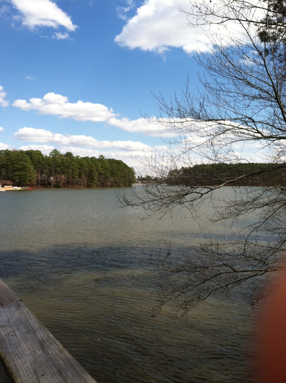 TrailMixxx Lake Johnson, Raleigh, NC 3/4/12