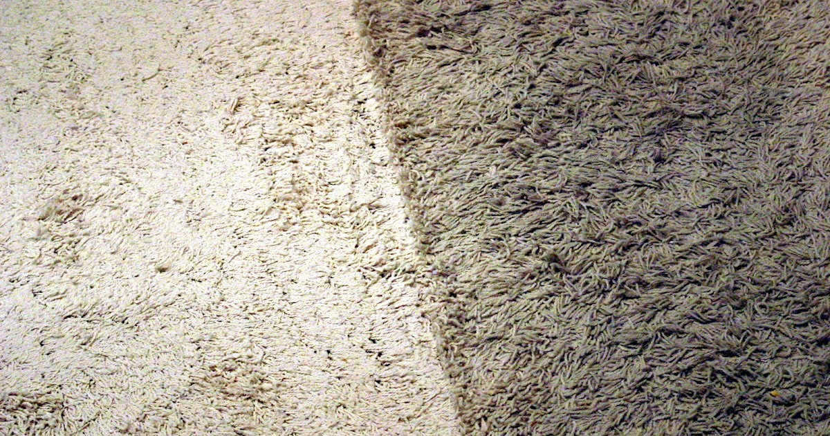 Chic on a Shoestring Decorating Let's cut a rug...