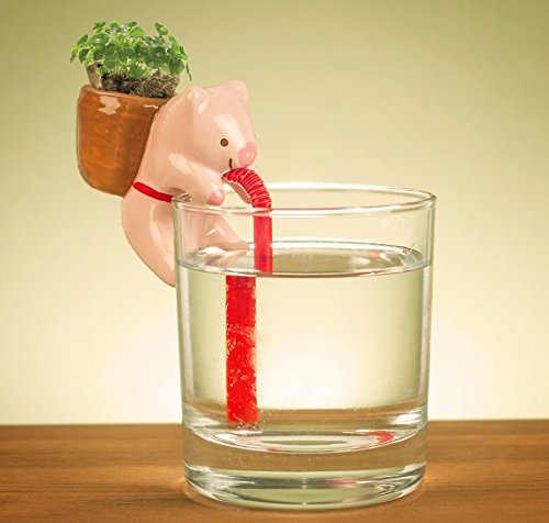 01-Pig-Chuppon-Self-Watering-Animal-Planter-www-designstack-co