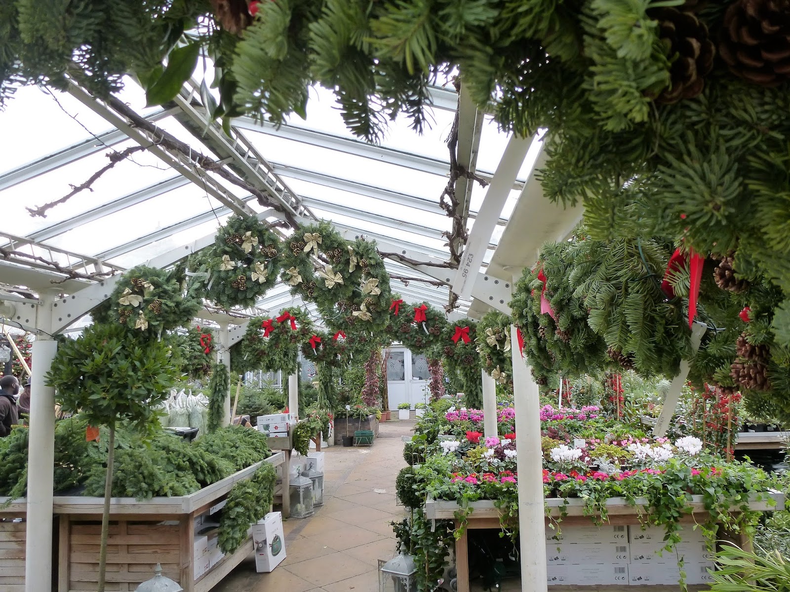 Fernando Ruz Clifton Nurseries