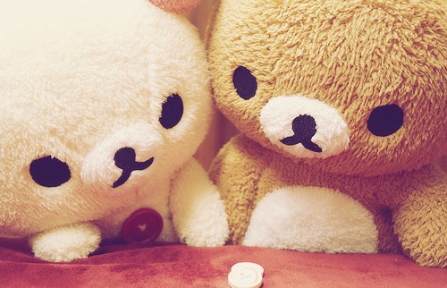 Cute Couple Teddy