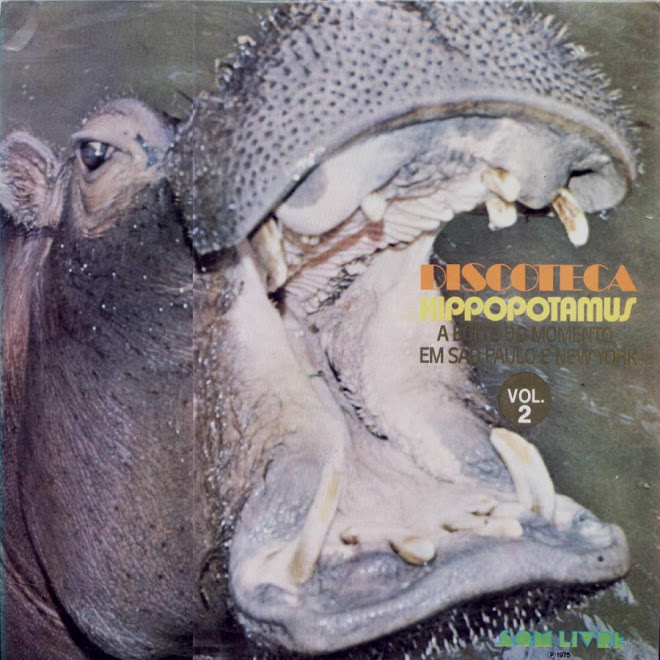 hipopotamus 76