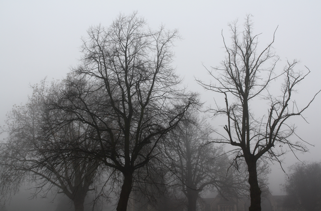 Albums Free Download Zip Tradeclever