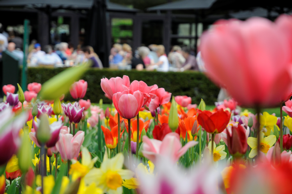 The League Of Whimsy Madurodam