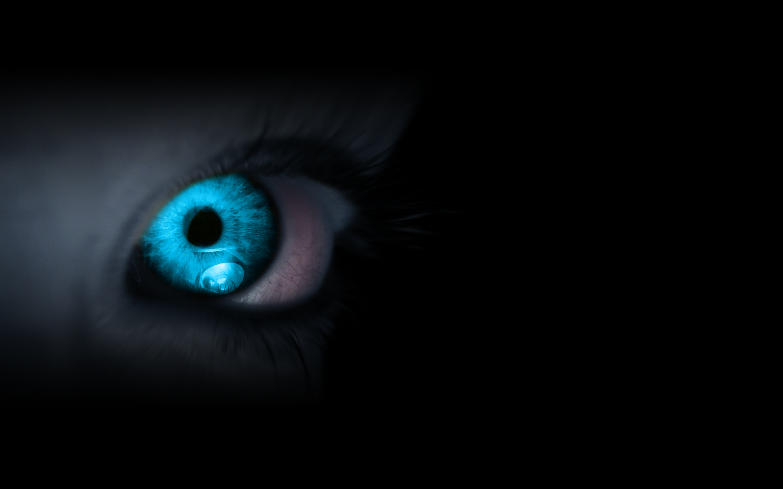 The Daily Desktop: Cool eyes! 8D