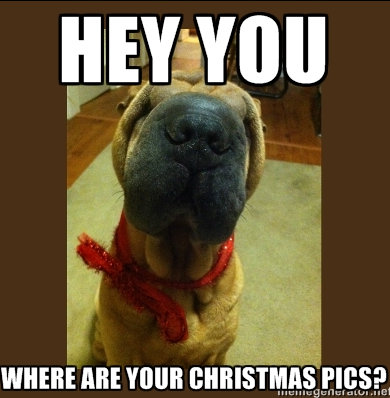 Happy friday everyone! christmas is just around the corner. Rescue Dog Blog: This is a rescue dog!: Feel-Good Festive Friday